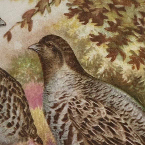 Vintage Lord Nelson Pottery Quails ceramic plate - Picture 11 of 15